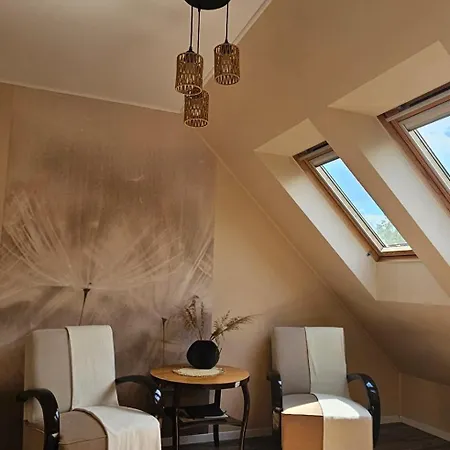 Hetvezer Penthouse 세게드